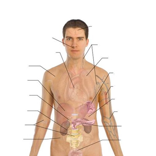 a paraziták jelenlétének jelei a különböző szervekben